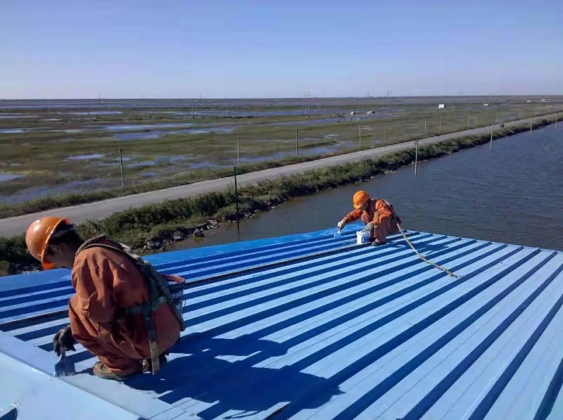 三门峡彩钢瓦屋面防腐翻新